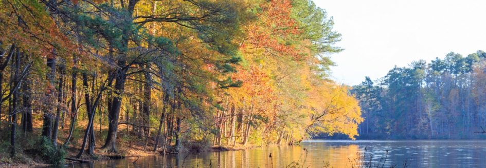 A lake in Raleigh, NC, with fall leaves featured in a blog post about fall activities